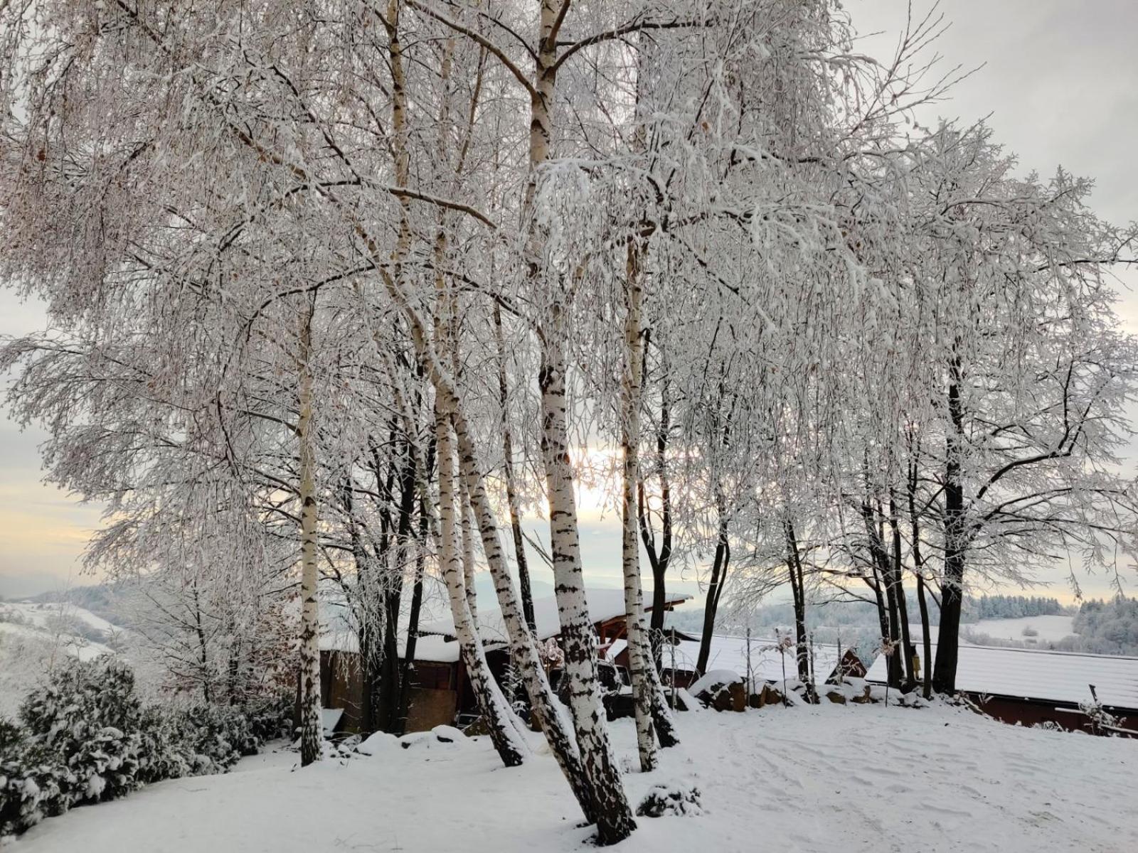 Agroturystyka Faron Rozdziele Exteriér fotografie