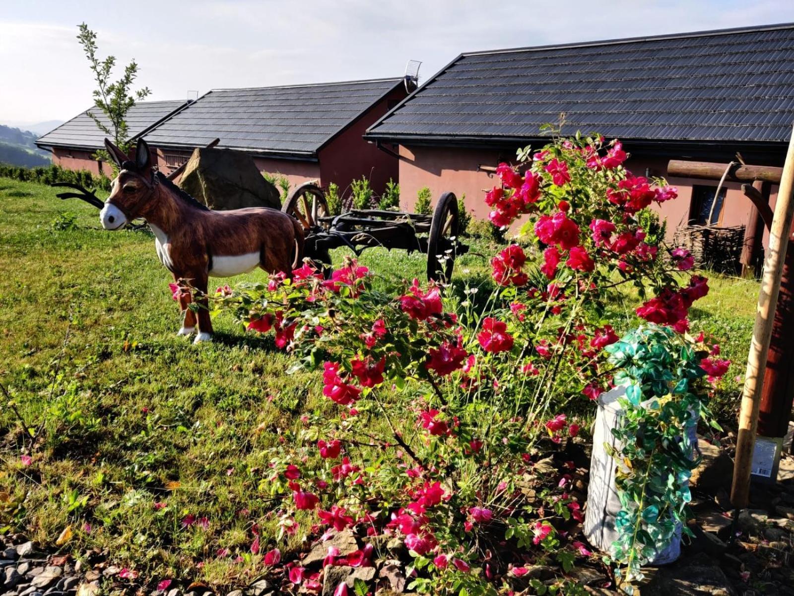Agroturystyka Faron Rozdziele Exteriér fotografie