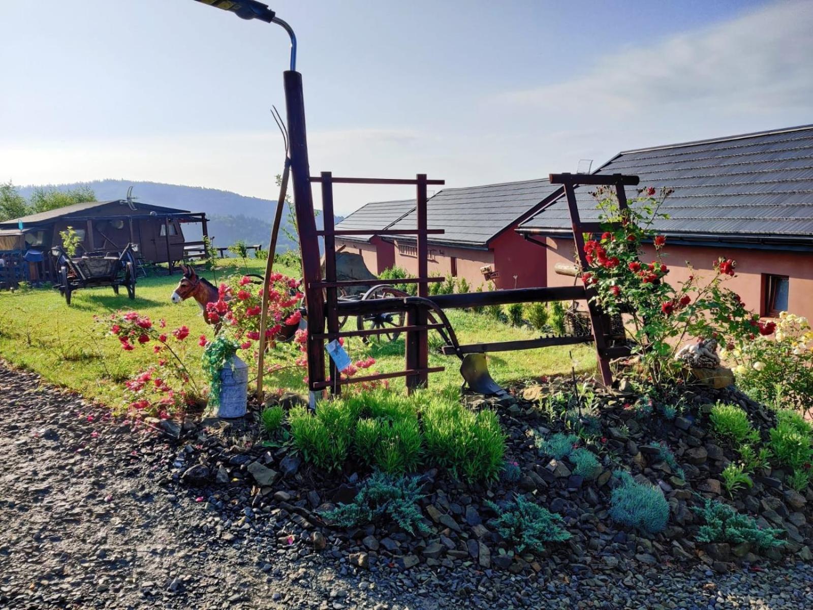 Agroturystyka Faron Rozdziele Exteriér fotografie