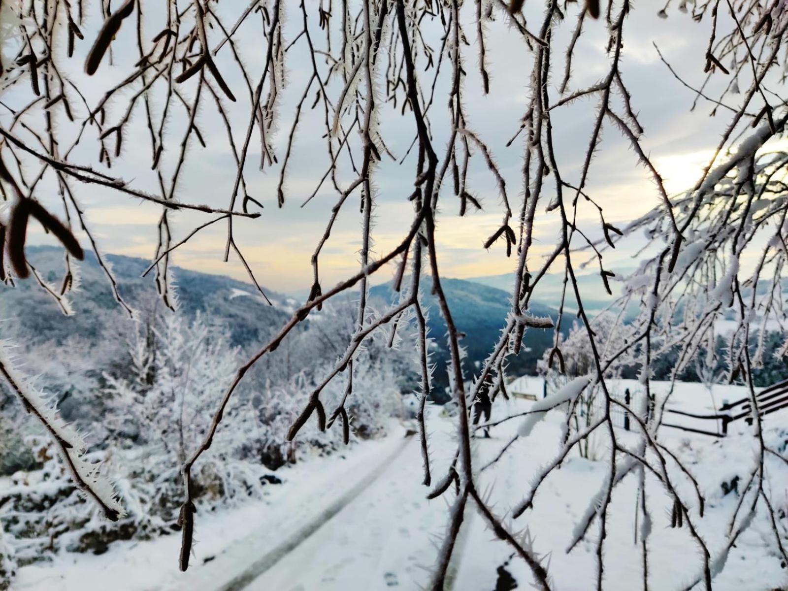 Agroturystyka Faron Rozdziele Exteriér fotografie